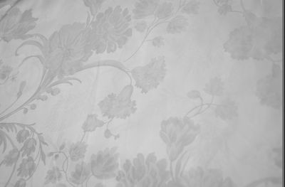 涤棉大提花